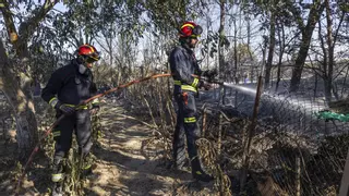 La meitat dels municipis amb pla antiincendis no el tenen actualitzat