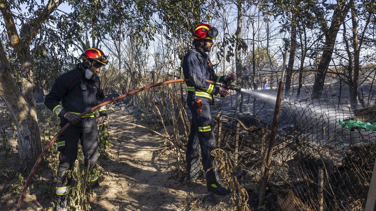 Dos bombers treballant en un incendi forestal