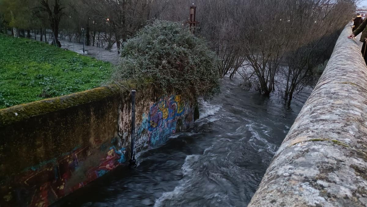 Caudal de agua sobre un paseo del río en Plasencia.