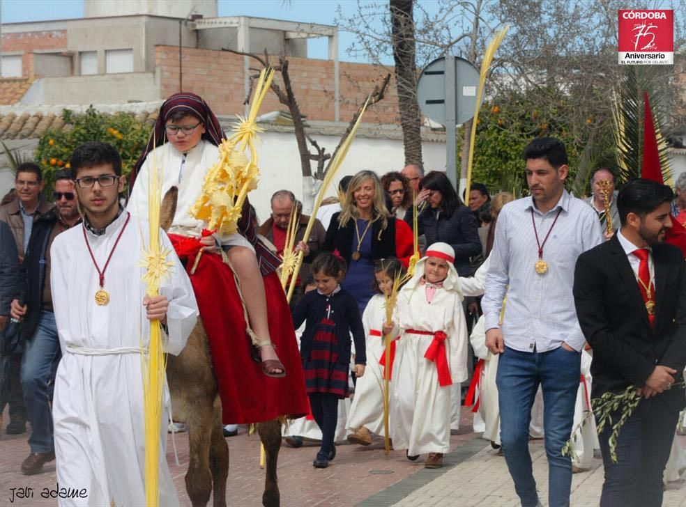 FOTOGALERÍA / El Domingo de Ramos en la provincia