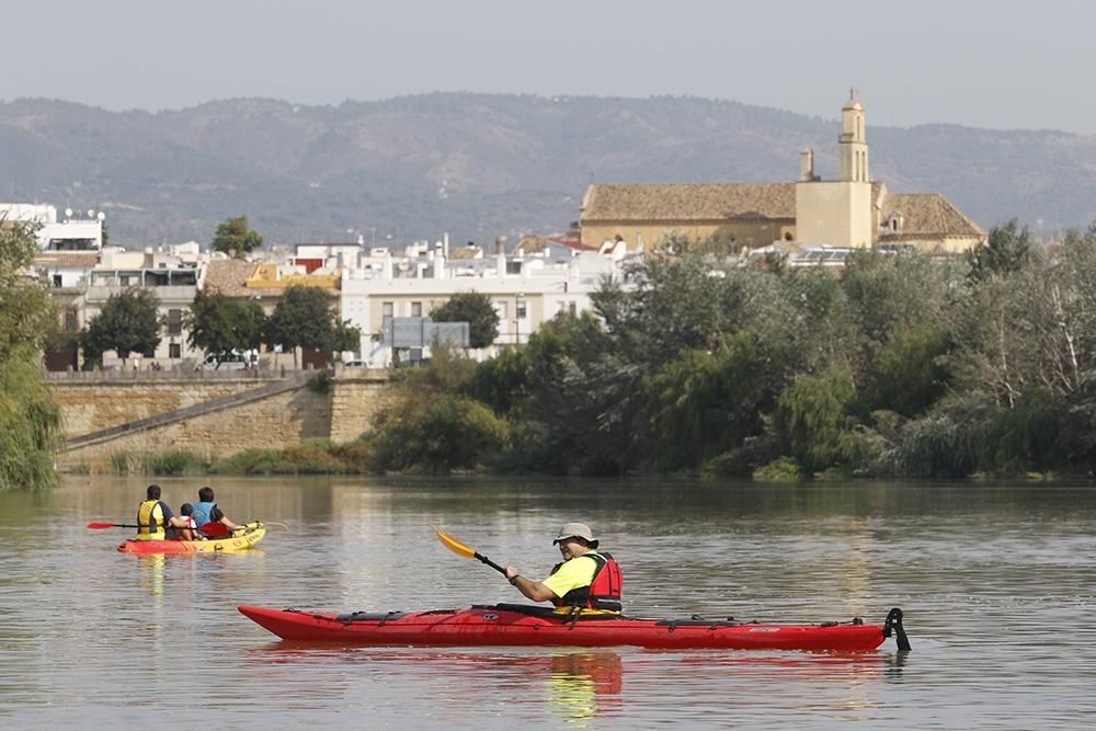 Fotogalería / Ruta del Caimán por el río Guadalquivir.