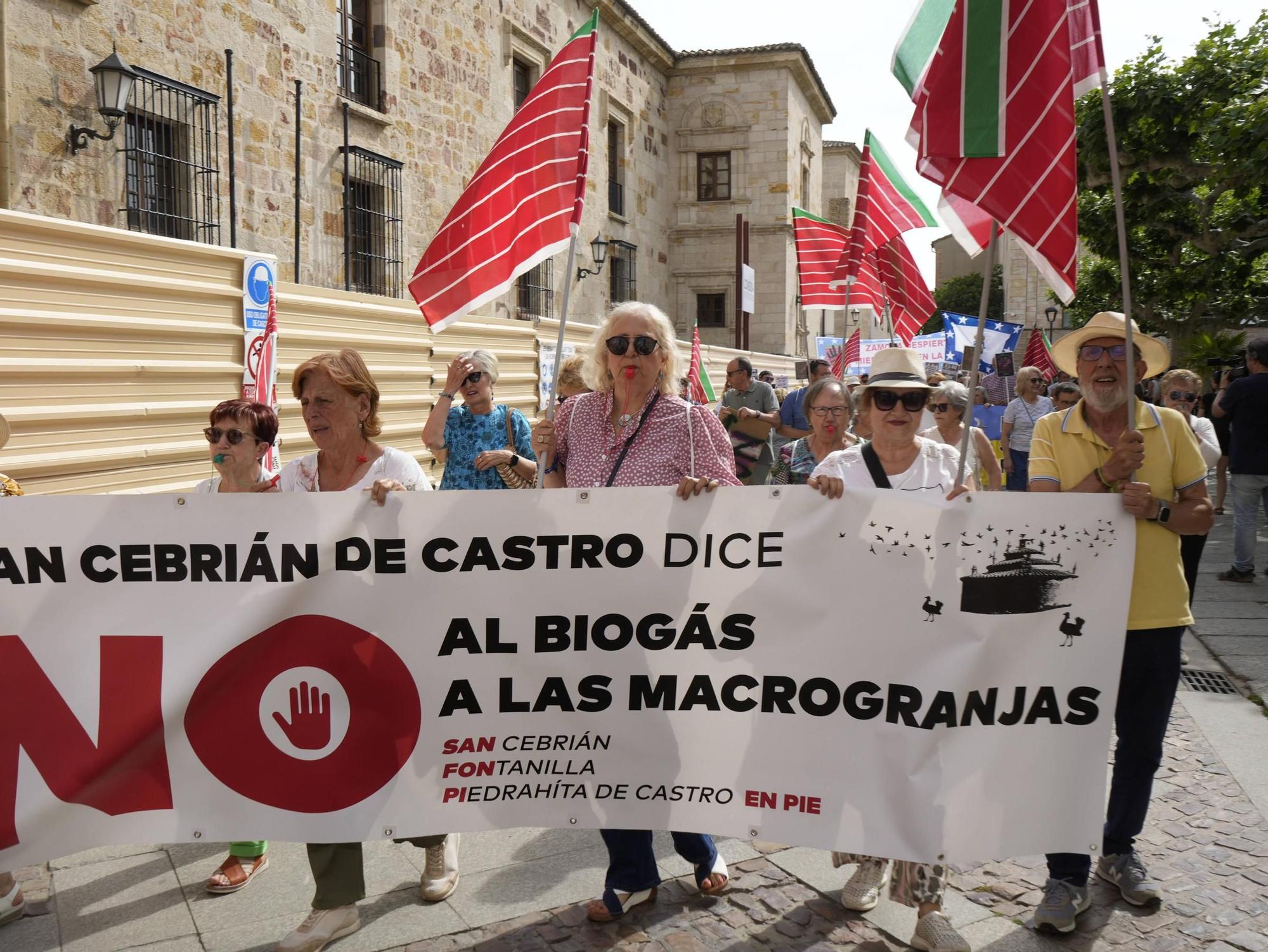 Zamora se suma a la convocatoria nacional contra el biogás