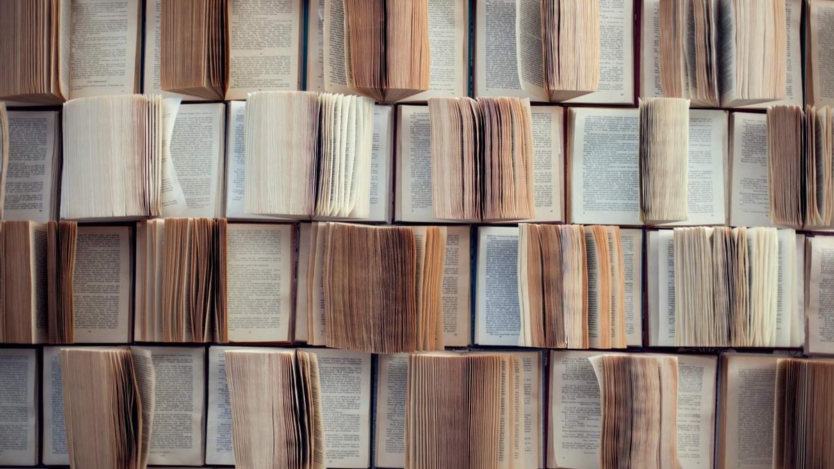 Libros gordos