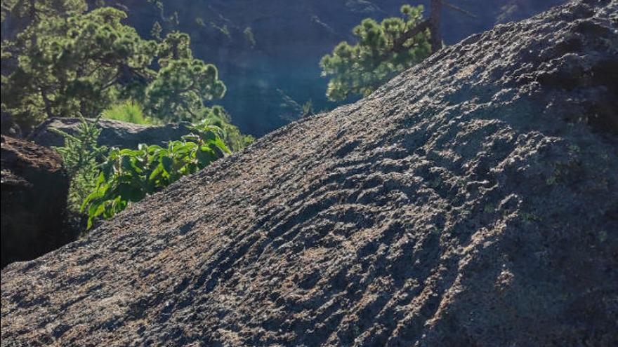 La Palma cuenta con 5 centros de visitantes y 18 yacimientos protegidos.