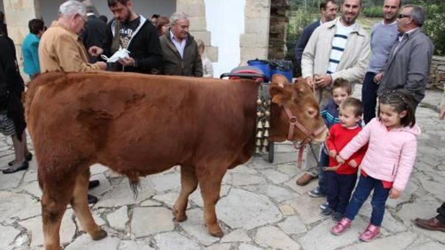 Los mayorales de Vilafranca anuncian las fiestas de Sant Antoni