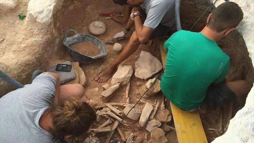 Cultura se interesa por los trabajos del yacimiento de La Beleña