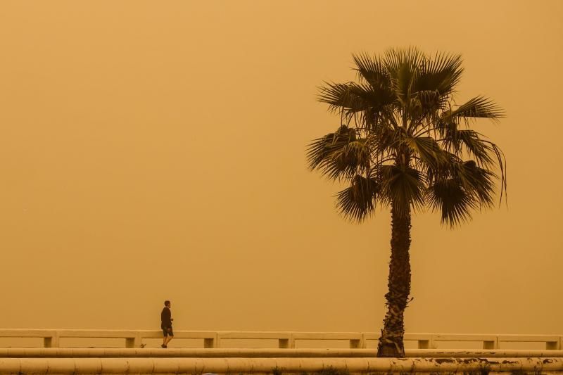 Las Palmas de Gran Canaria. calima  | 22/02/2020 | Fotógrafo: José Carlos Guerra