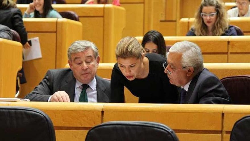 Clara San Damián (centro) en el Senado.