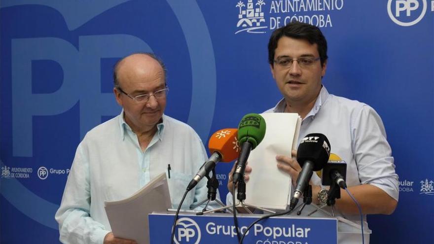 El PP presenta alegaciones al Plan Pista por &quot;discriminación&quot; a la capital