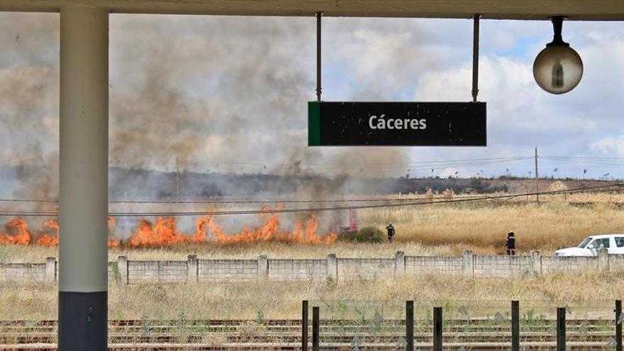 Investigan la intencionalidad de los últimos incendios de Cáceres