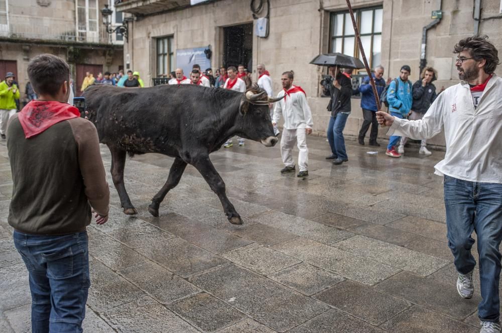 Allariz cierra a la carrera la fiesta "do boi"