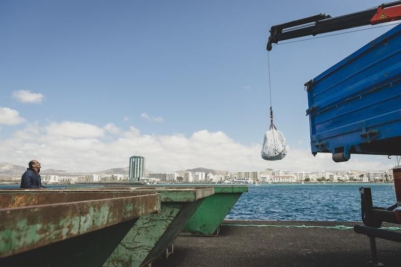 Arrecife limpia su marina