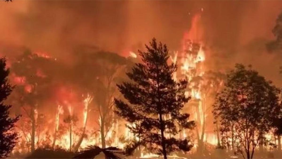 Australia se refuerza ante los incendios mientras los daños se disparan