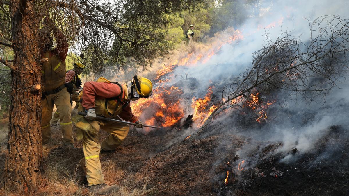 Las cuadrillas luchan contra el fuego, el domingo, en el entorno del Moncayo.