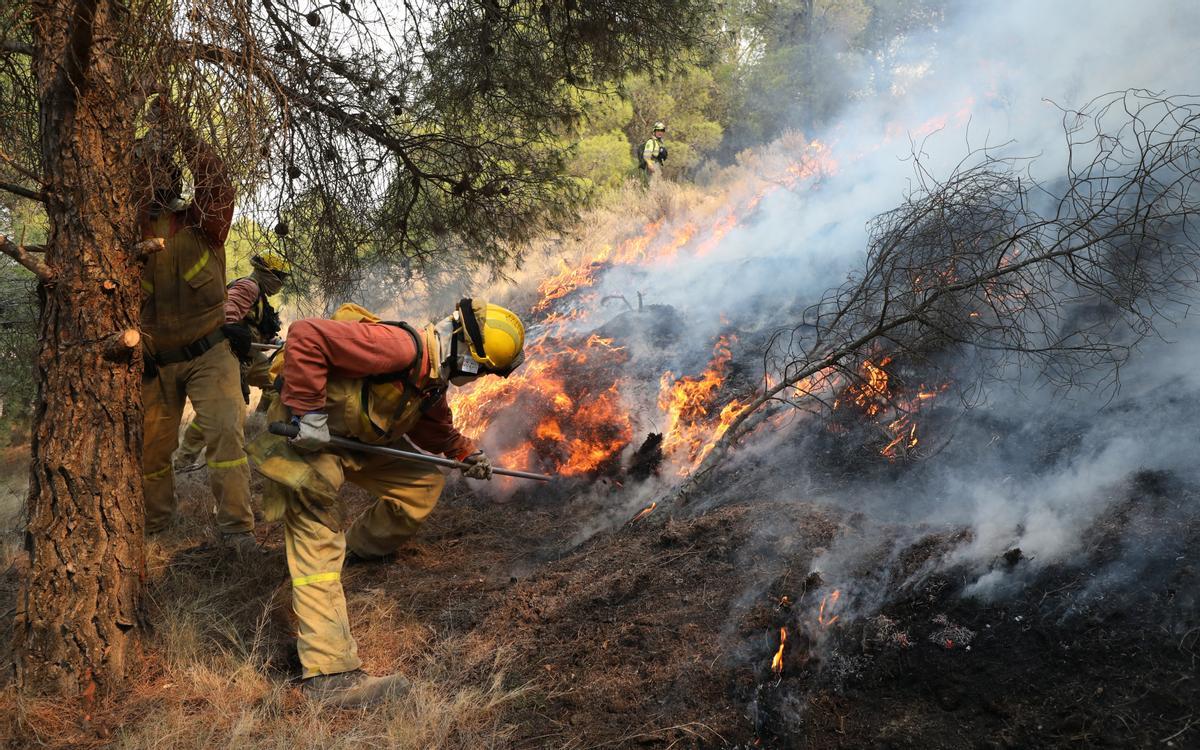 Las cuadrillas luchan contra el fuego, el domingo, en el entorno del Moncayo.