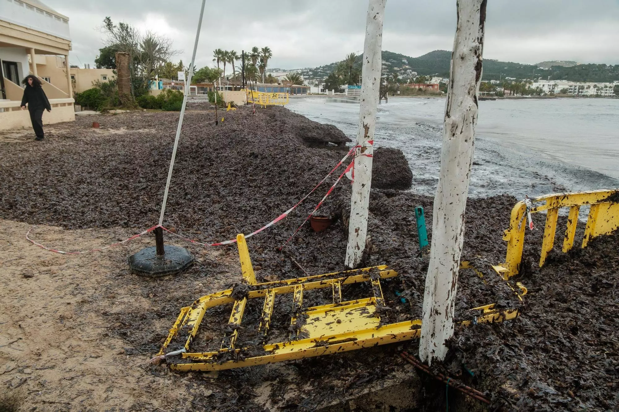 159b2189 1a6c 4a0d 8d40 994ac965ea58 source aspect – Diario de Ibiza News Searching For A Solution For &Quot;Ibiza’s Most Emblematic Beach&Quot;: &Quot;You Look At It And It Makes You Want To Cry&Quot;