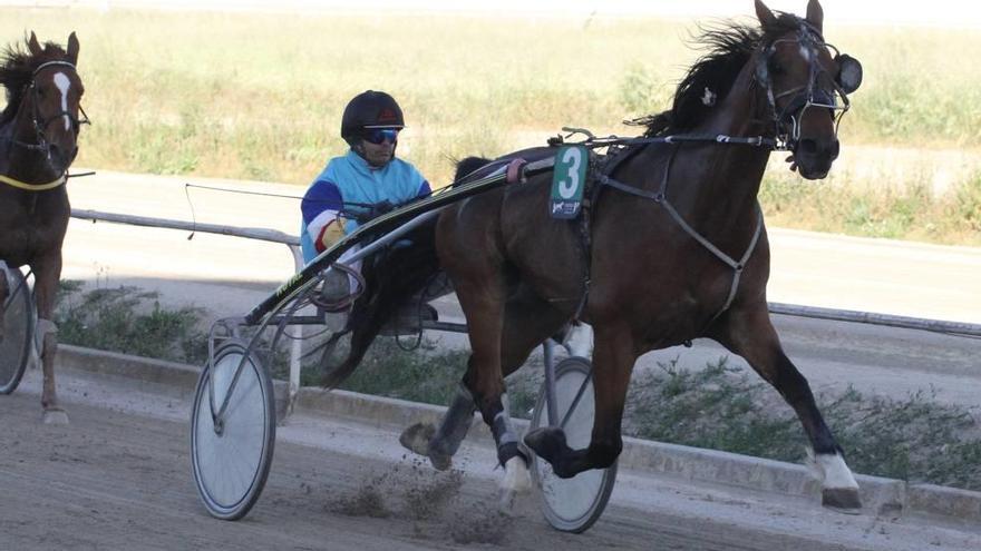 Tonnerre d&#039;Avril se impuso en la octava carrera.