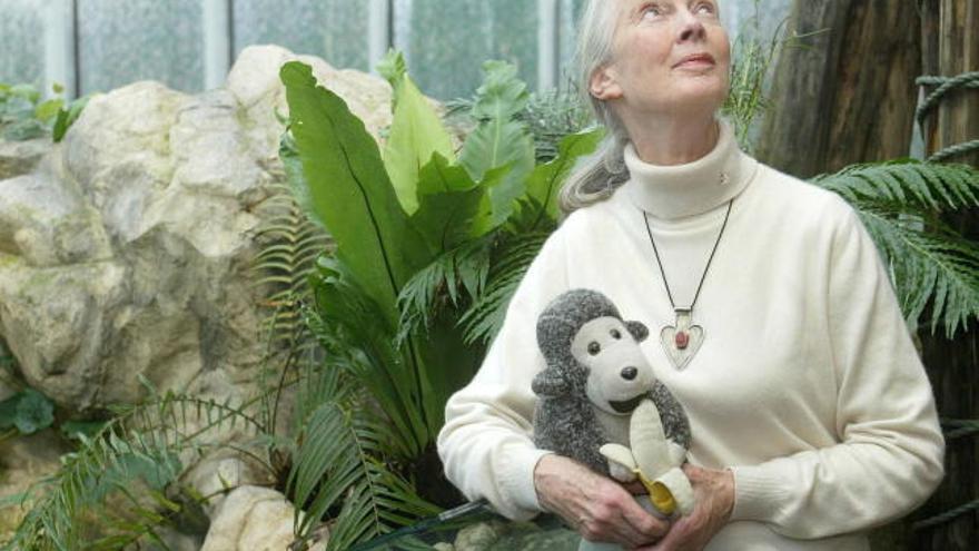 Jane Goodall, en Bioparc