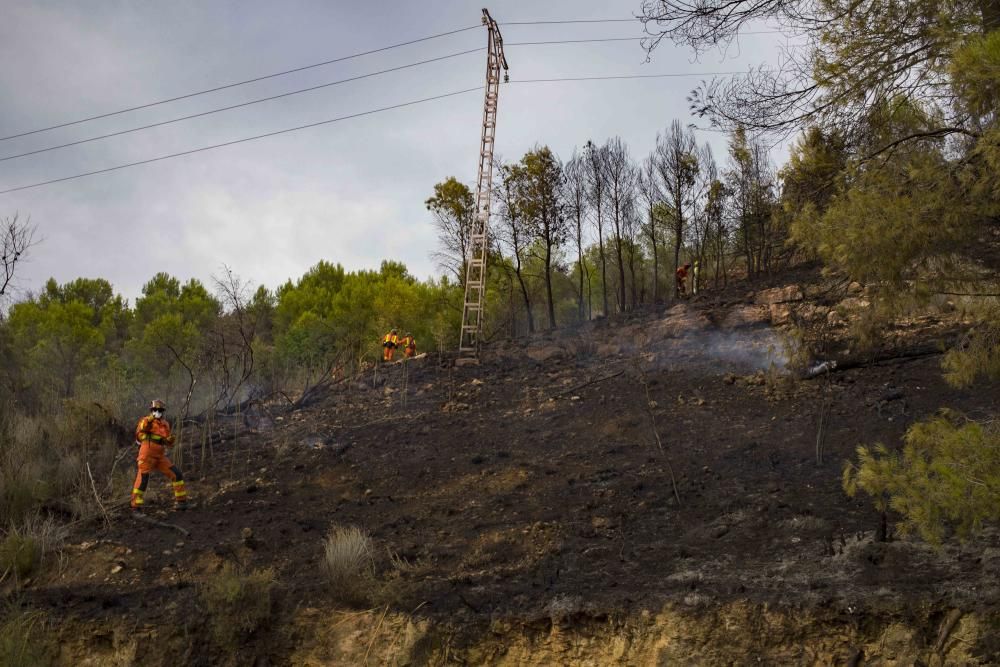 Incendio forestal en la zona el Pi d'Ambrosio de l'Ènova