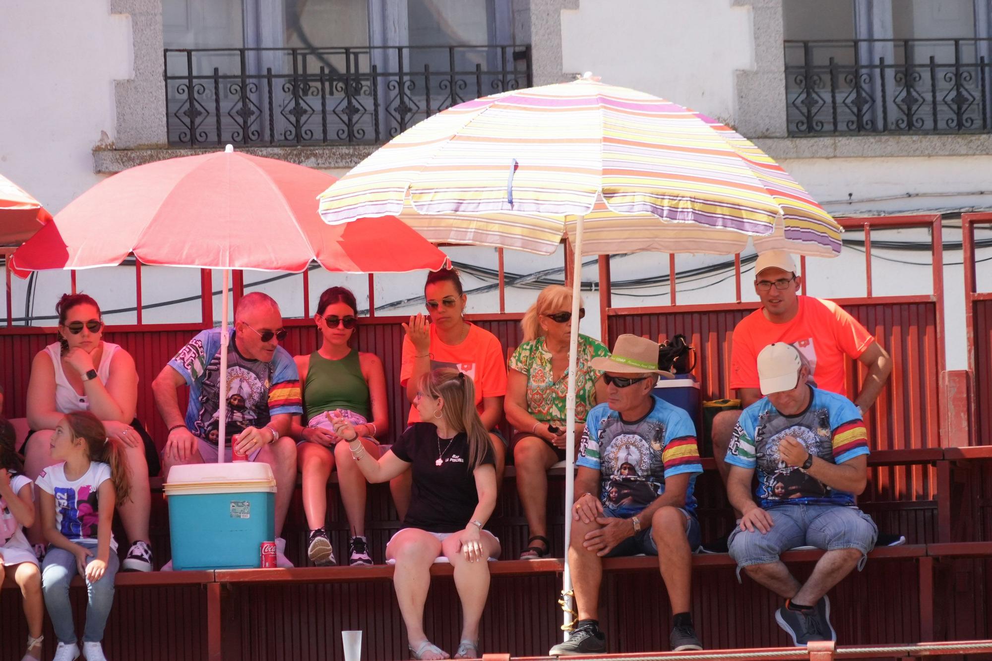 Las vaquillas de El Viso vuelven a correr las calles del pueblo