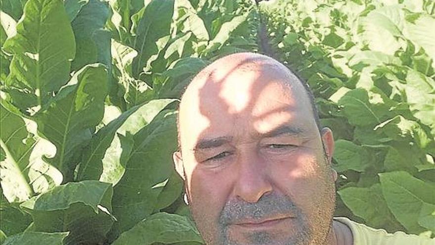 «El tabaco español tiene calidad, se produce con criterios de sostenibilidad y fija población rural»