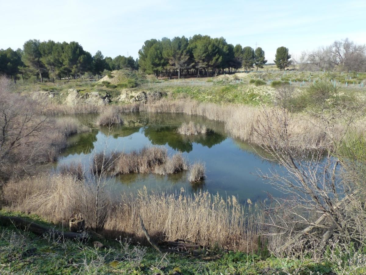 El itinerario premiado tiene una longitud de 1,5 kilómetros y recorre el trayecto entre el área industrial de Los Olivos y las Lagunas de Horna
