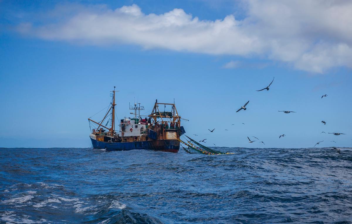 Áreas Marinas Protegidas: aún pocas y casi sin gestión – INFORMACION