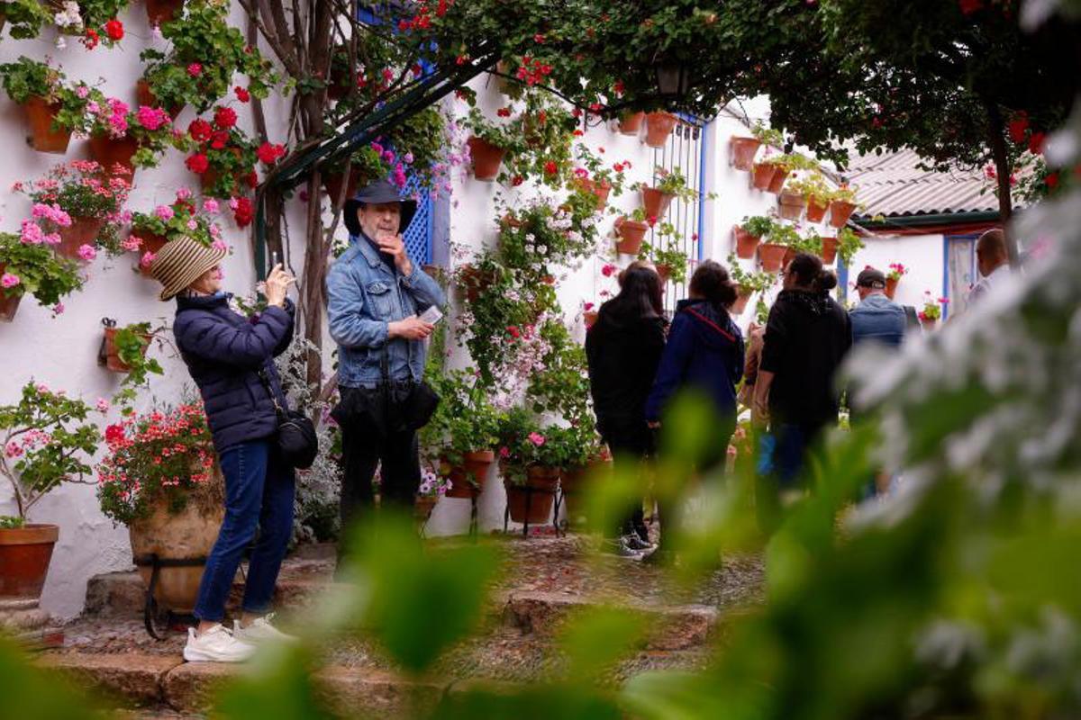 Principales premios del Concurso Municipal de Patios Cordobeses 2026