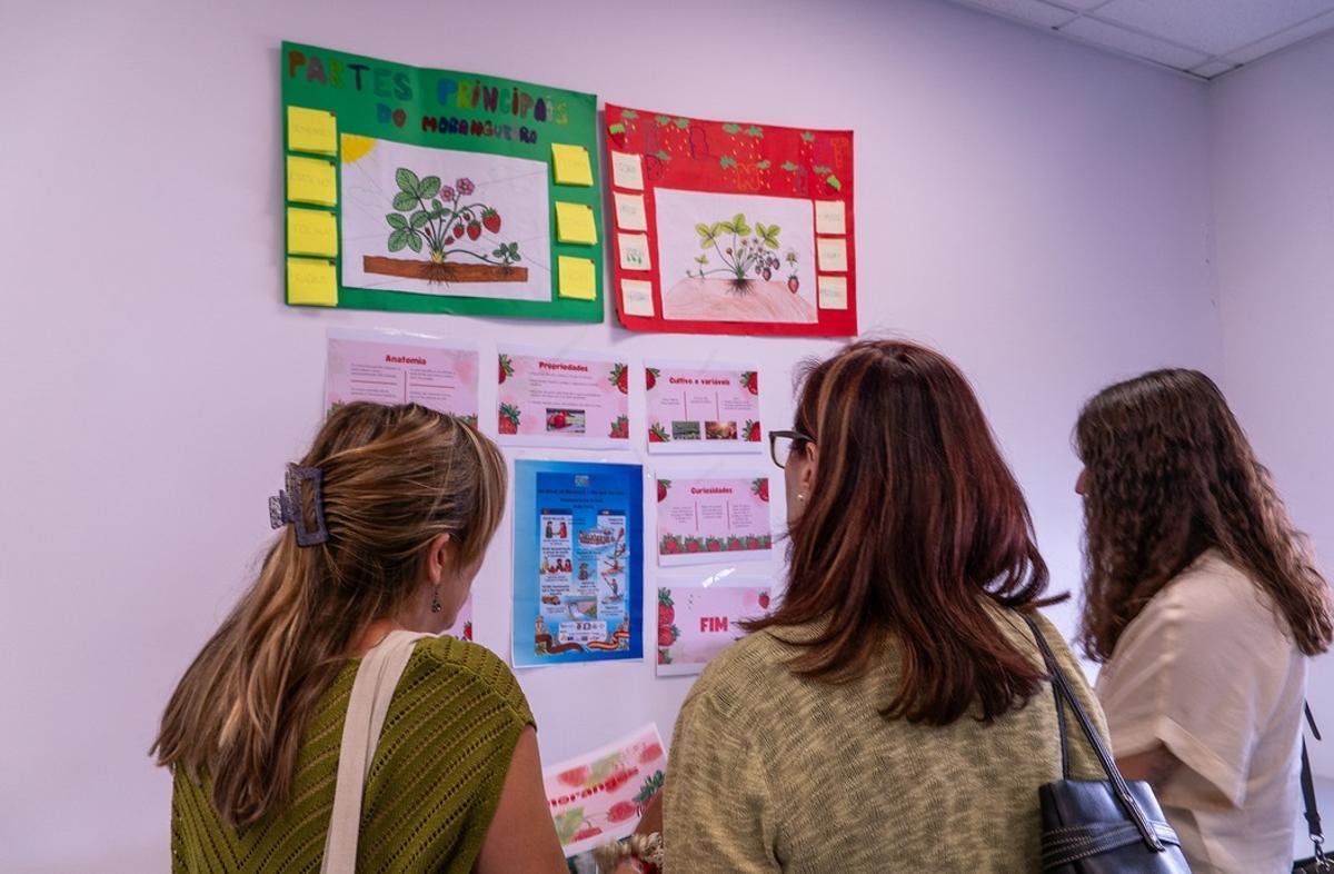 Encuentro de Escuelas de Frontera en Zamora