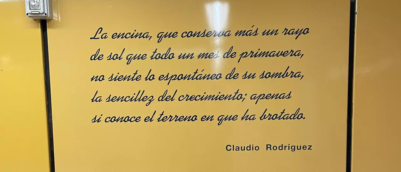 Imagina para sus sueños una gran meseta