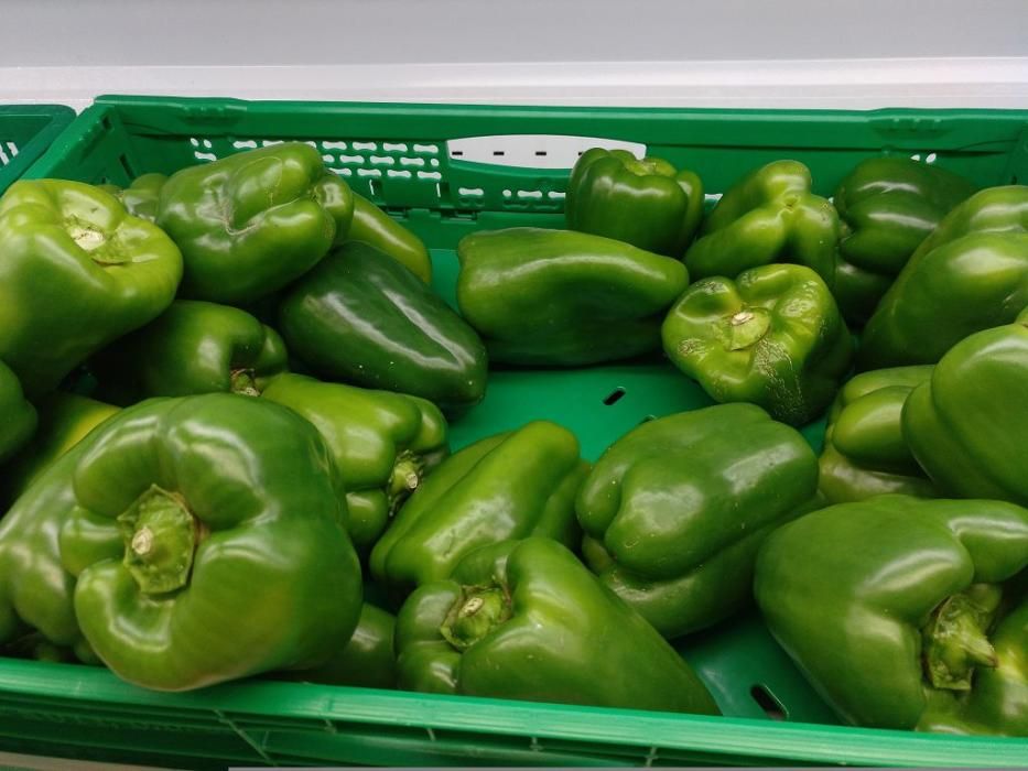 PIMIENTOS VERDES. Desde la empresa de Frutas Esparza, en la pedanía de El Estrecho de Fuente Álamo. Ubicada en la comarca del Campo de Cartagena, es una empresa familiar dedicada a la producción y confección de alcachofa, pimiento y melón.