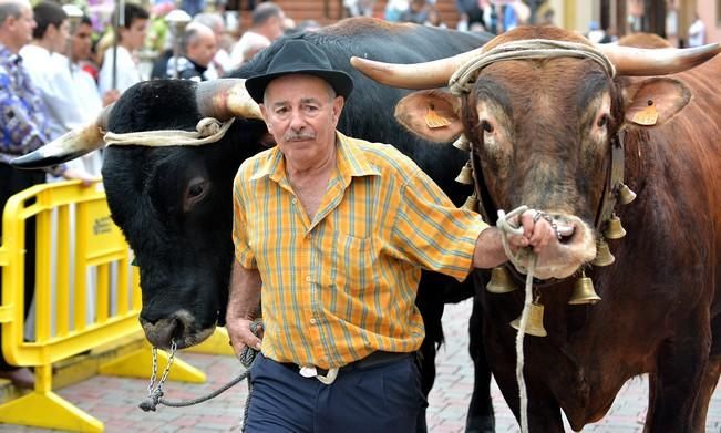 LA CANDELARIA FIESTAS INGENIO