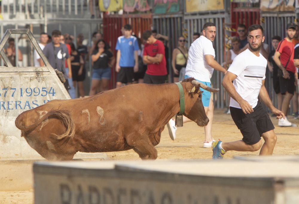 Actos taurinos en las fiestas de Sagunt.