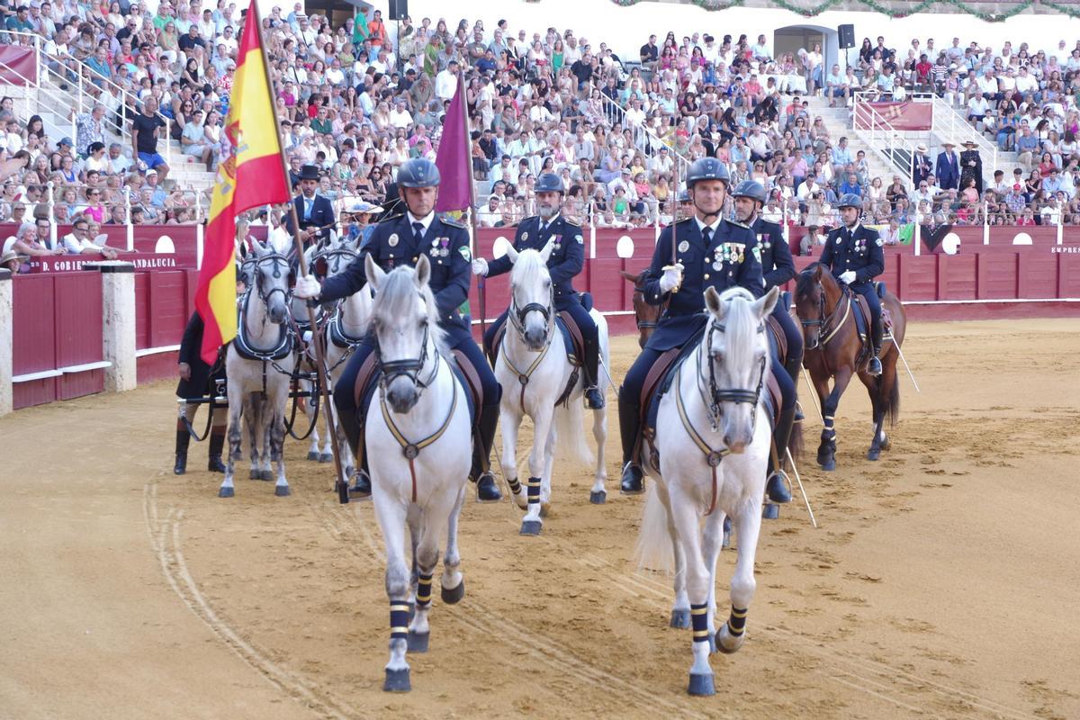 Fotos del concurso de exhibición de Enganches de Caballos Ciudad de Málaga 2026