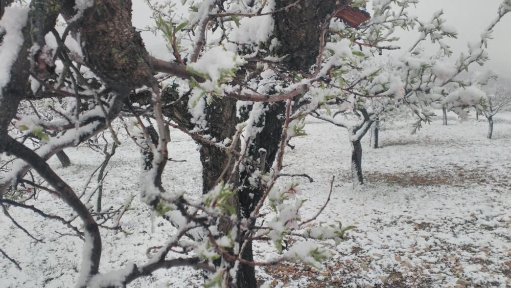 Nieva en el Calar de la Santa