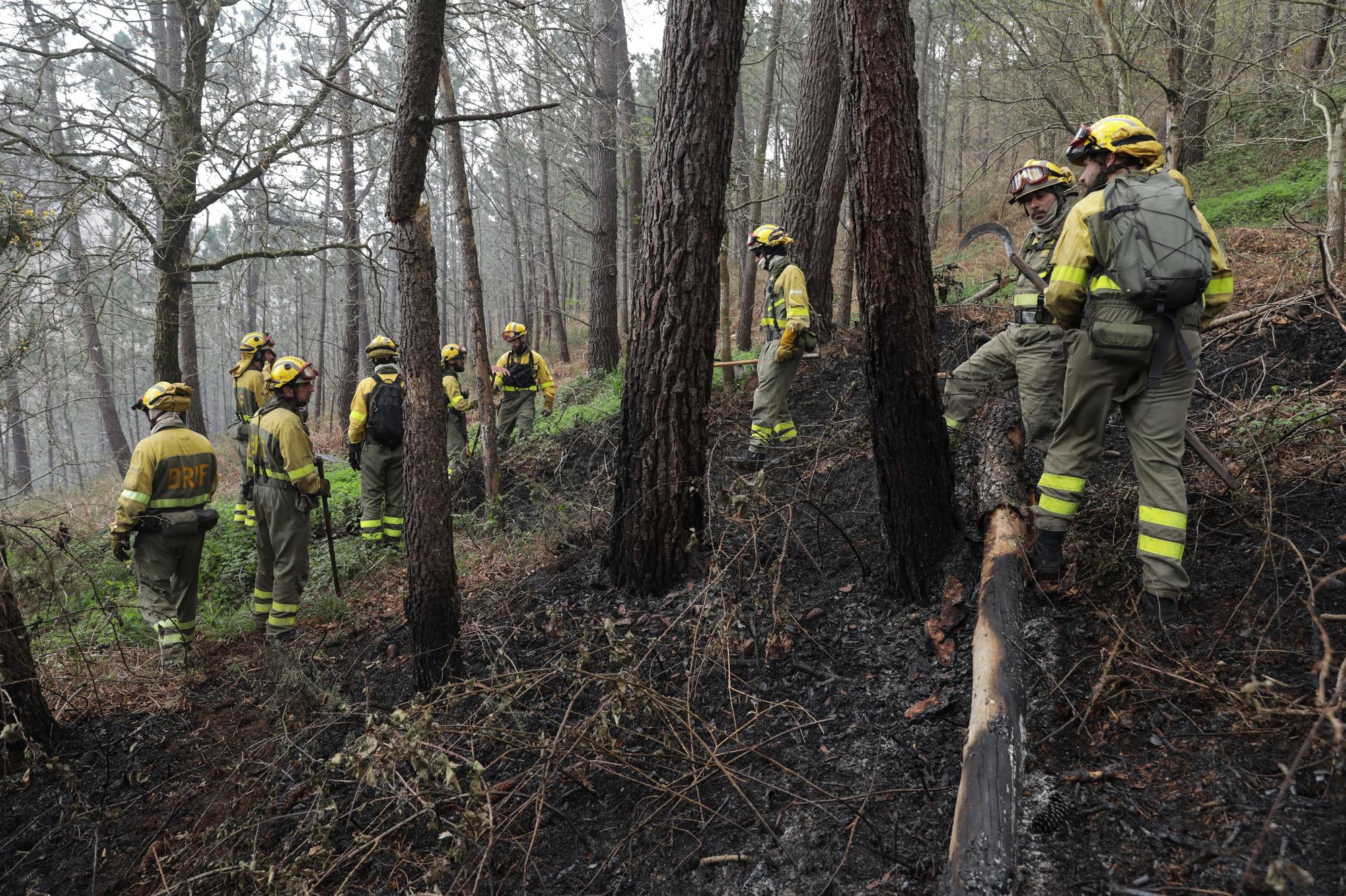 Trabajos de extinción de los incendios en Valdés