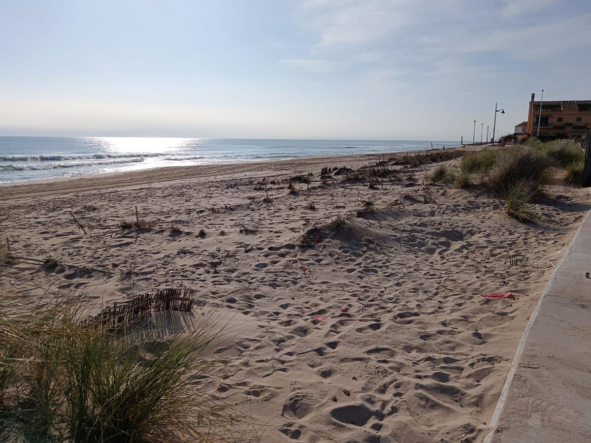 Un tramo de dunas en la playa del Perelló en una imagen de este miércoles.
