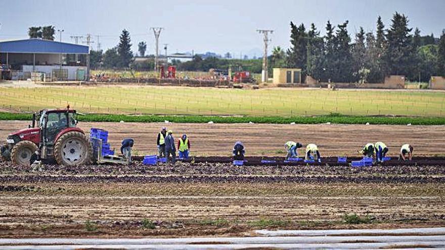 El campo planea contratar a los parados del sector servicios afectados por un ERTE