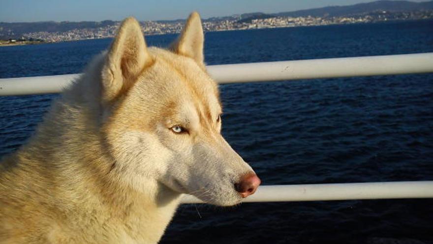 Leo. aburrido de la nieve, un dia de relaxx en la playa.