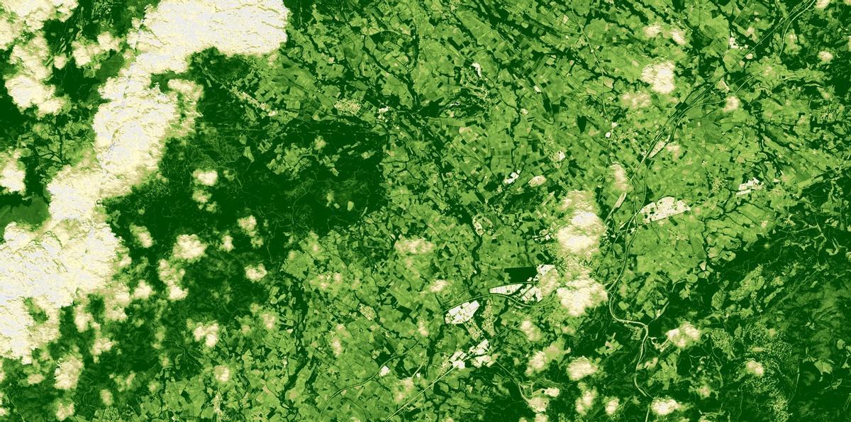 El Alt Penedès, el 13 de mayo del 2025, en una imagen de satélite NDVI, que muestra, a más color verde, más estado saludable de la vegetación.