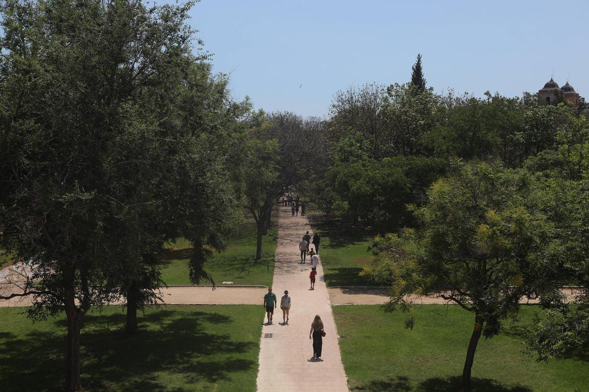 Arbolado en el Jardín del Turia