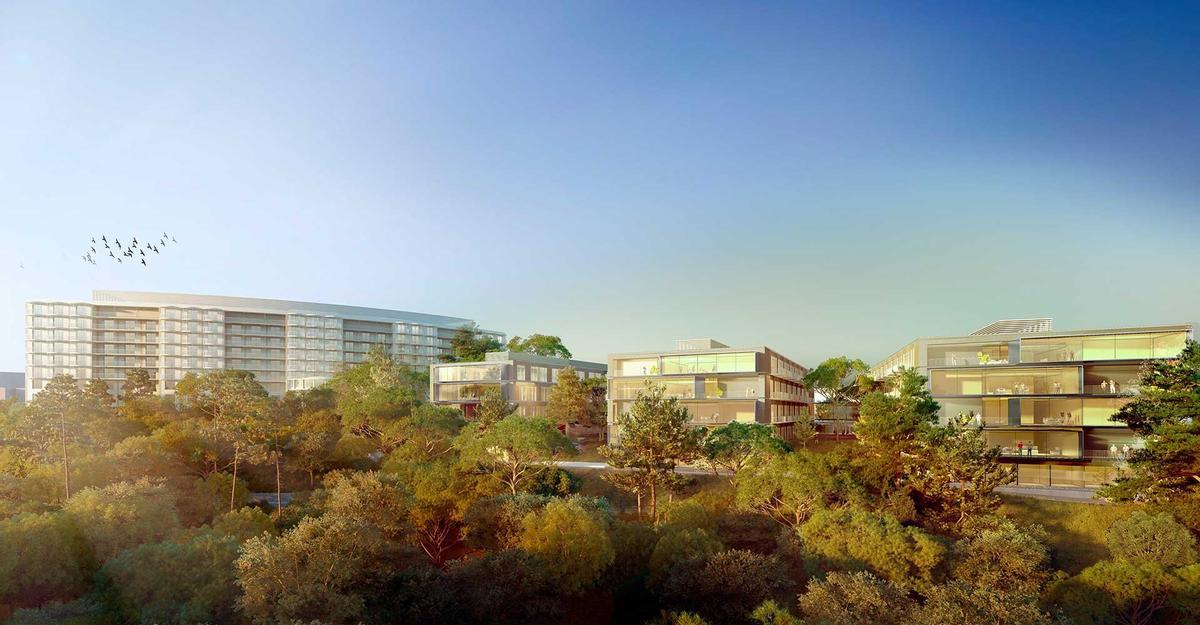 Recreación de la vista del nuevo complejo sanitario desde la carretera de acceso al Castell de Bellver