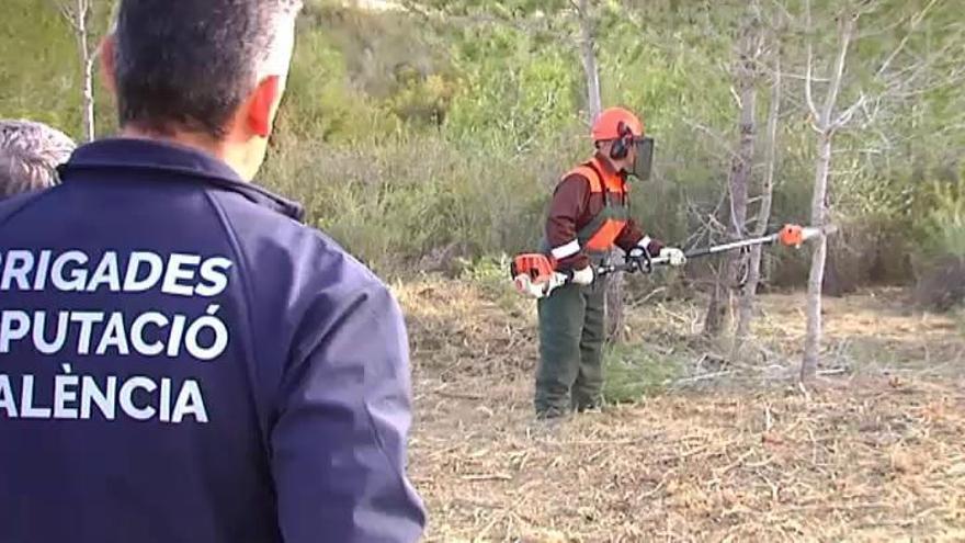 El peligro de incendio se incrementa con la llegada del verano