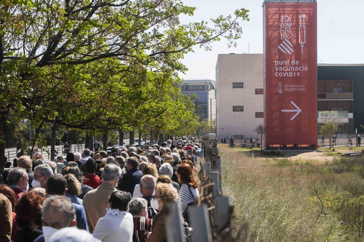 6 de abril. Largas colas al sol de personas de mas de 65 años para vacunarse contra la COVID-19 en el hospital de campaña de La Fe 6 de abril. Largas colas al sol de personas de mas de 65 años para vacunarse contra la COVID-19 en el hospital de campaña de La Fe