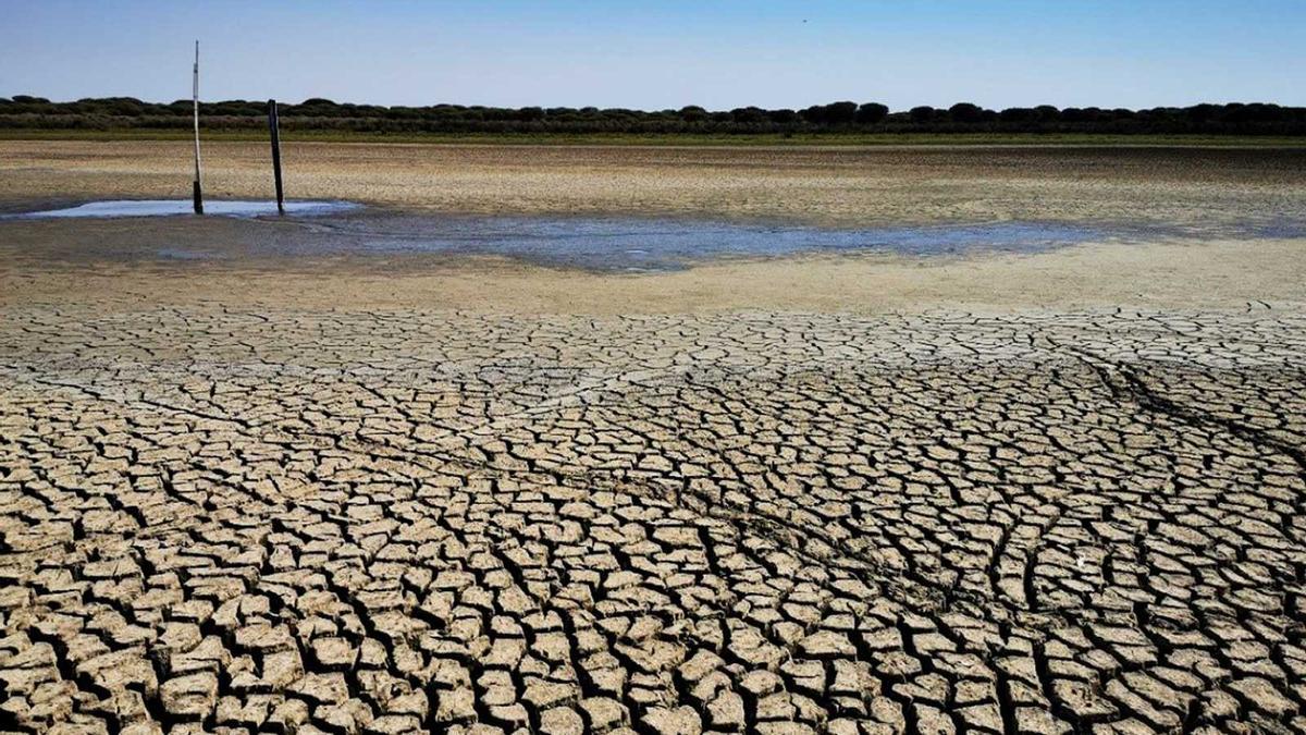 La laguna de Santa Olalla, en Doñana, se secó completamente en el verano de 2022 .