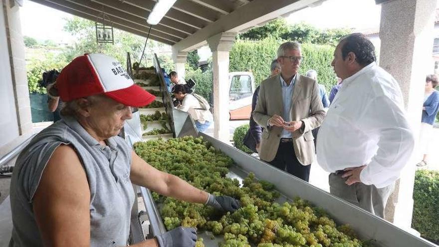 La visita de Alfonso Rueda a Lagar de Fornelos, ayer. // FdV