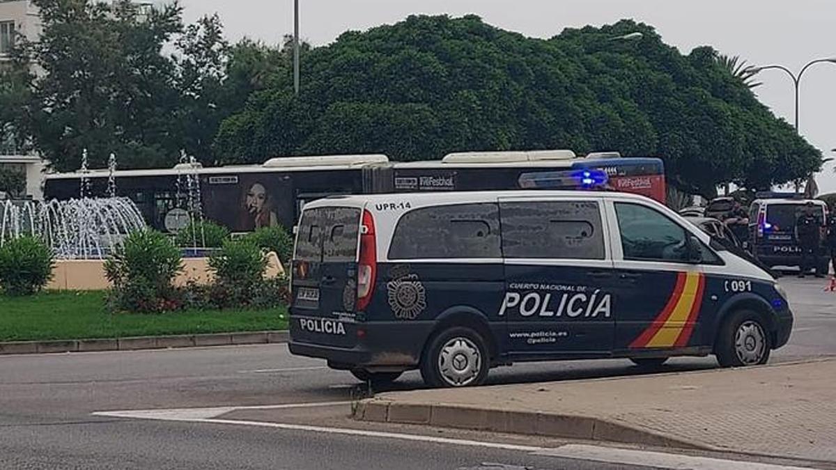 Agentes de la Policía Nacional, durante un control en Palma.