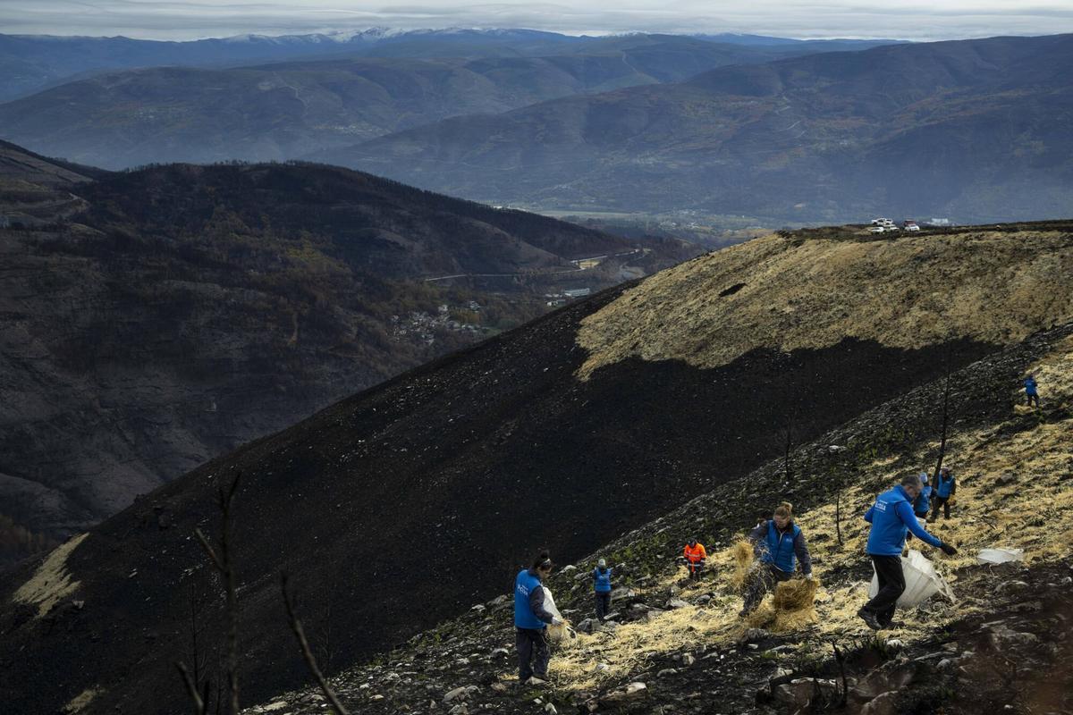 Voluntarios tratando de frenar la erosión tras los incendios del pasado verano