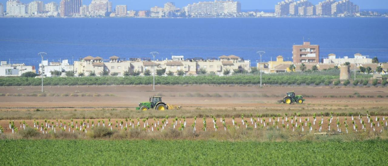 Las zonas de cultivo más cercanas al Mar Menor son las que más medidas deben cumplir debido a su proximidad. | IVAN URQUIZAR