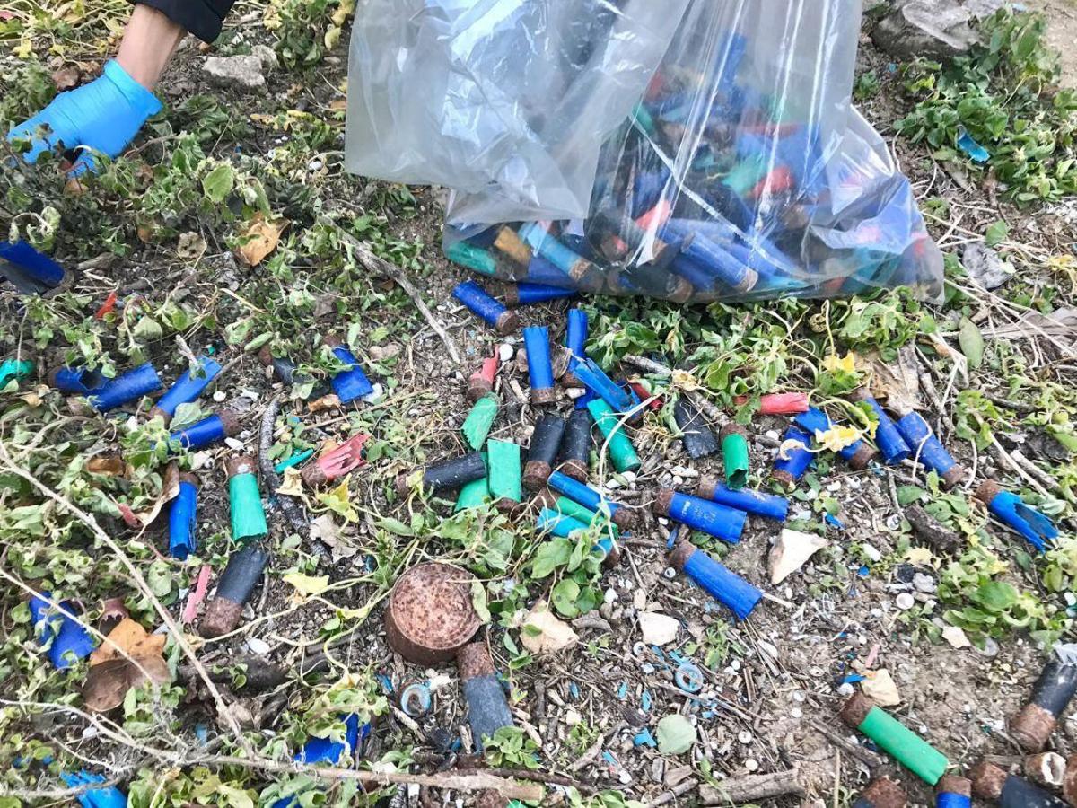 Voluntarios recogieron en el parque natural de L'Albufera, en Valencia, más de 3.000 cartuchos de caza en 2019.